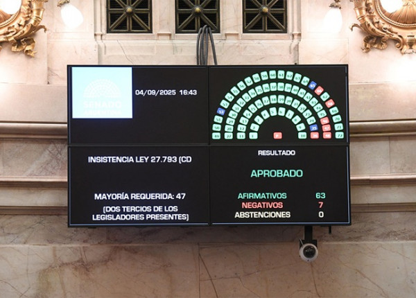 Senado rechazo Veto Discapacidad