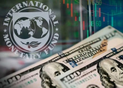 Logo FMI y billetes de dólar